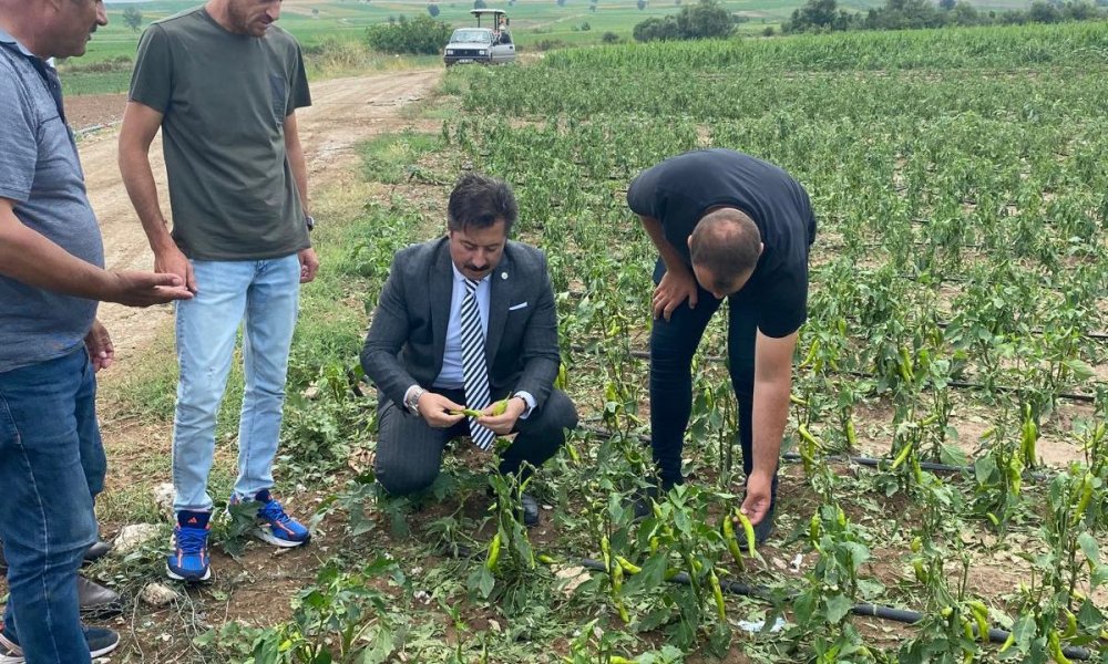 BAŞKAN ERCAN ÖZEL ÇİFTÇİNİN SORUNLARINI BURSA BÜYÜKŞEHİR BELEDİYE MECLİSİ’NE TAŞIDI