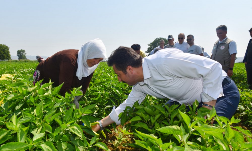 YENİŞEHİR BİBERİNİN MARKA DEĞERİNİ ARTIRACAĞIZ