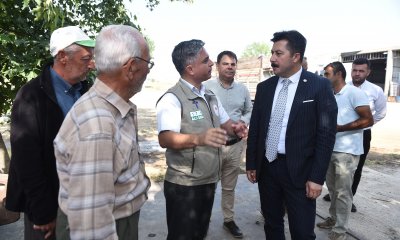 TMO HUBUBAT ALIMINA BAŞLADI